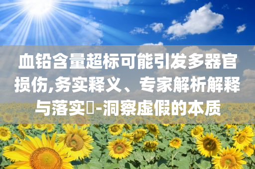 血鉛含量超標(biāo)可能引發(fā)多器官損傷,務(wù)實(shí)釋義、專家解析解釋與落實(shí)?-洞察虛假的本質(zhì)