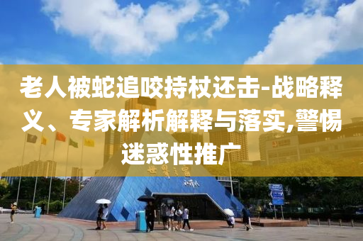 老人被蛇追咬持杖還擊-戰(zhàn)略釋義、專家解析解釋與落實,警惕迷惑性推廣