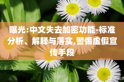 曝光:中文失去加密功能-標(biāo)準(zhǔn)分析、解釋與落實,警惕虛假宣傳手段
