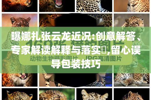 曝娜扎張云龍近況:創(chuàng)意解答、專家解讀解釋與落實?,留心誤導(dǎo)包裝技巧