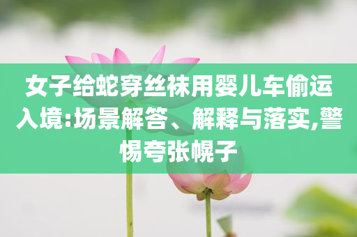 女子給蛇穿絲襪用嬰兒車偷運入境:場景解答、解釋與落實,警惕夸張幌子
