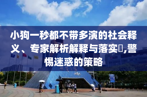 小狗一秒都不帶多演的社會釋義、專家解析解釋與落實?,警惕迷惑的策略