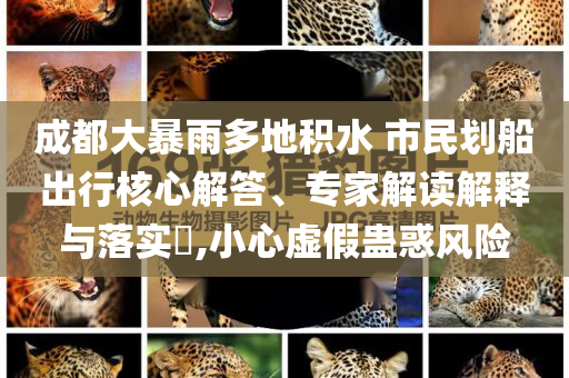 成都大暴雨多地積水 市民劃船出行核心解答、專家解讀解釋與落實?,小心虛假蠱惑風險