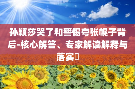 孫穎莎哭了和警惕夸張幌子背后-核心解答、專家解讀解釋與落實(shí)?