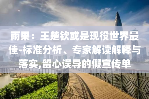 雨果：王楚欽或是現(xiàn)役世界最佳-標準分析、專家解讀解釋與落實,留心誤導的假宣傳單