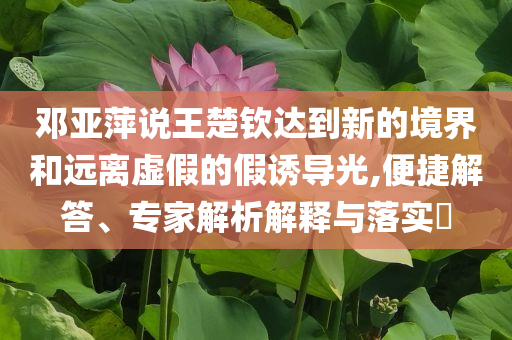 鄧亞萍說王楚欽達到新的境界和遠離虛假的假誘導光,便捷解答、專家解析解釋與落實?