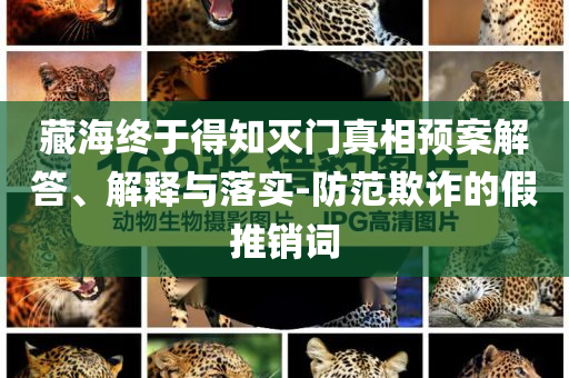 藏海終于得知滅門真相預(yù)案解答、解釋與落實-防范欺詐的假推銷詞