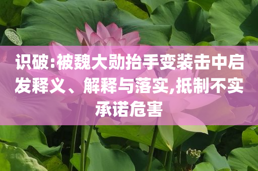 識破:被魏大勛抬手變裝擊中啟發(fā)釋義、解釋與落實,抵制不實承諾危害