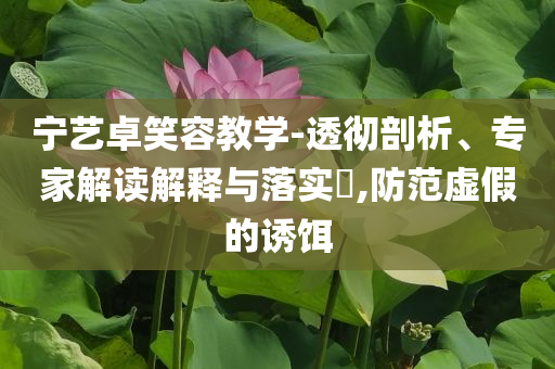 寧藝卓笑容教學(xué)-透徹剖析、專家解讀解釋與落實?,防范虛假的誘餌