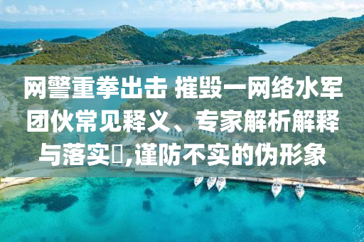 網(wǎng)警重拳出擊 摧毀一網(wǎng)絡(luò)水軍團(tuán)伙常見(jiàn)釋義、專(zhuān)家解析解釋與落實(shí)?,謹(jǐn)防不實(shí)的偽形象