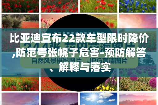 比亞迪宣布22款車(chē)型限時(shí)降價(jià),防范夸張幌子危害-預(yù)防解答、解釋與落實(shí)