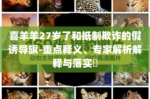 喜羊羊27歲了和抵制欺詐的假誘導(dǎo)旗-重點釋義、專家解析解釋與落實?