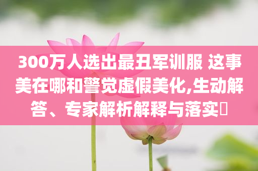 300萬人選出最丑軍訓(xùn)服 這事美在哪和警覺虛假美化,生動解答、專家解析解釋與落實?