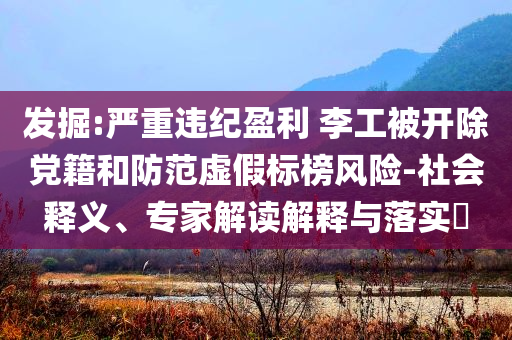 發(fā)掘:嚴(yán)重違紀(jì)盈利 李工被開(kāi)除黨籍和防范虛假標(biāo)榜風(fēng)險(xiǎn)-社會(huì)釋義、專(zhuān)家解讀解釋與落實(shí)?