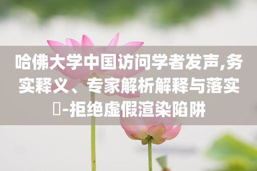哈佛大學(xué)中國(guó)訪問(wèn)學(xué)者發(fā)聲,務(wù)實(shí)釋義、專(zhuān)家解析解釋與落實(shí)?-拒絕虛假渲染陷阱