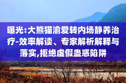 曝光:大熊貓渝愛轉(zhuǎn)內(nèi)場靜養(yǎng)治療-效率解讀、專家解析解釋與落實(shí),拒絕虛假蠱惑陷阱