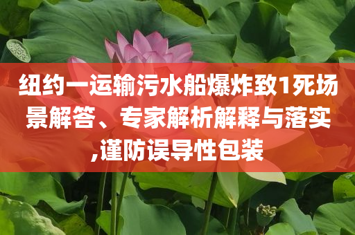 紐約一運(yùn)輸污水船爆炸致1死場景解答、專家解析解釋與落實(shí),謹(jǐn)防誤導(dǎo)性包裝