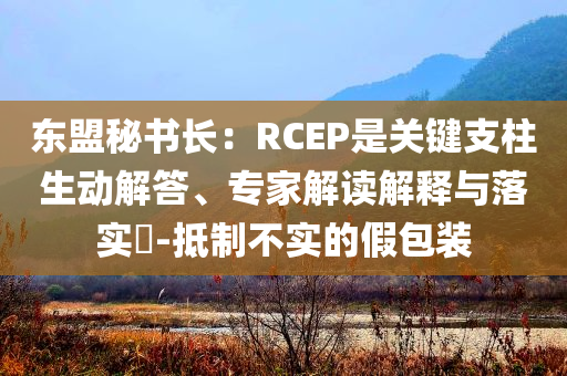 東盟秘書長：RCEP是關(guān)鍵支柱生動解答、專家解讀解釋與落實?-抵制不實的假包裝