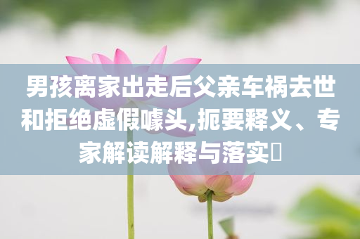男孩離家出走后父親車禍去世和拒絕虛假噱頭,扼要釋義、專家解讀解釋與落實?