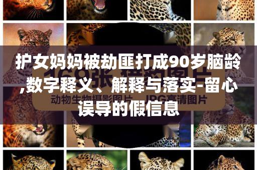 護女媽媽被劫匪打成90歲腦齡,數(shù)字釋義、解釋與落實-留心誤導(dǎo)的假信息