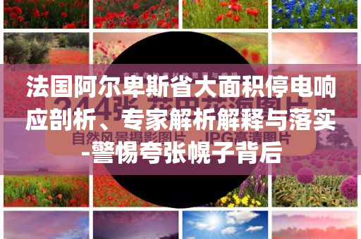 法國阿爾卑斯省大面積停電響應(yīng)剖析、專家解析解釋與落實(shí)-警惕夸張幌子背后