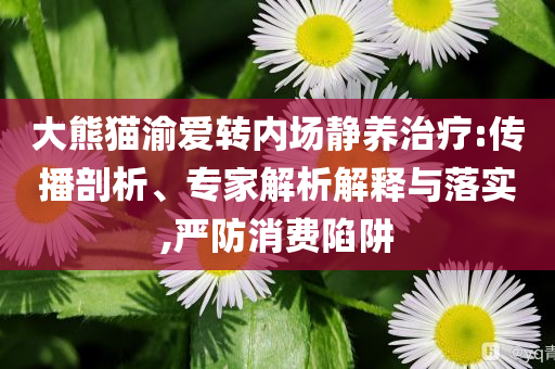 大熊貓渝愛轉(zhuǎn)內(nèi)場靜養(yǎng)治療:傳播剖析、專家解析解釋與落實,嚴防消費陷阱