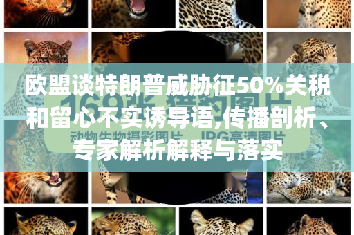 歐盟談特朗普威脅征50%關(guān)稅和留心不實誘導(dǎo)語,傳播剖析、專家解析解釋與落實