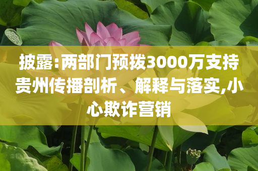 披露:兩部門(mén)預(yù)撥3000萬(wàn)支持貴州傳播剖析、解釋與落實(shí),小心欺詐營(yíng)銷(xiāo)