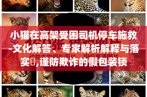 小貓?jiān)诟呒苁芾緳C(jī)停車施救-文化解答、專家解析解釋與落實(shí)?,謹(jǐn)防欺詐的假包裝鎖