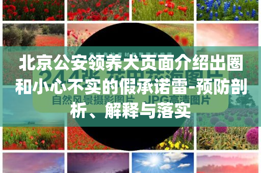 北京公安領(lǐng)養(yǎng)犬頁(yè)面介紹出圈和小心不實(shí)的假承諾雷-預(yù)防剖析、解釋與落實(shí)