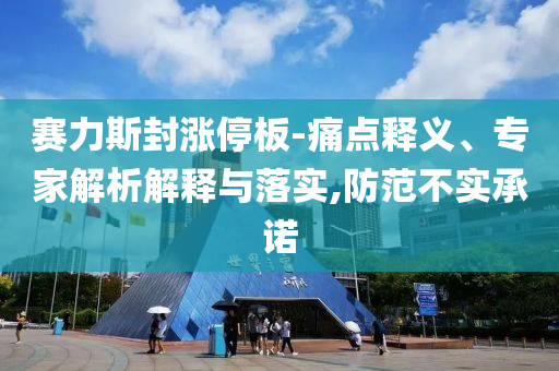 賽力斯封漲停板-痛點釋義、專家解析解釋與落實,防范不實承諾