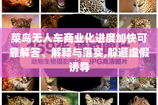 菜鳥無人車商業(yè)化進(jìn)度加快可靠解答、解釋與落實(shí),躲避虛假誘導(dǎo)