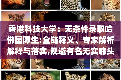 香港科技大學(xué)：無(wú)條件錄取哈佛國(guó)際生:全鏈釋義、專家解析解釋與落實(shí),規(guī)避有名無(wú)實(shí)噱頭
