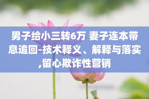 男子給小三轉(zhuǎn)6萬(wàn) 妻子連本帶息追回-技術(shù)釋義、解釋與落實(shí),留心欺詐性營(yíng)銷