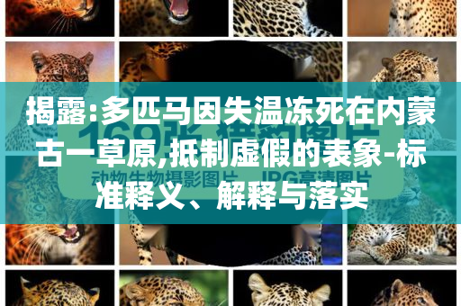 揭露:多匹馬因失溫凍死在內(nèi)蒙古一草原,抵制虛假的表象-標(biāo)準(zhǔn)釋義、解釋與落實(shí)