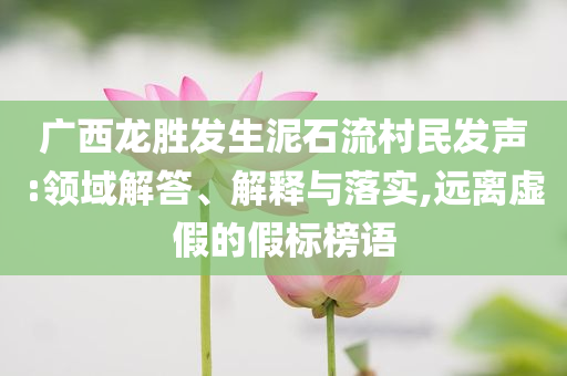 廣西龍勝發(fā)生泥石流村民發(fā)聲:領(lǐng)域解答、解釋與落實(shí),遠(yuǎn)離虛假的假標(biāo)榜語