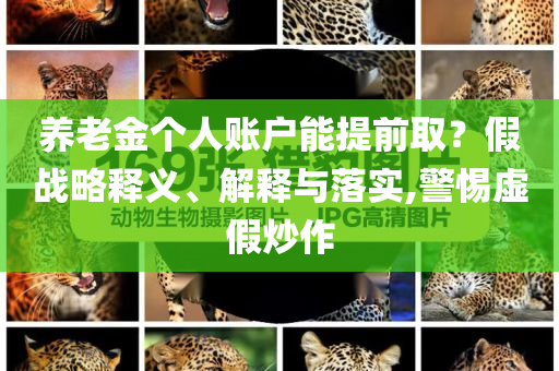 養(yǎng)老金個人賬戶能提前?。考賾?zhàn)略釋義、解釋與落實,警惕虛假炒作