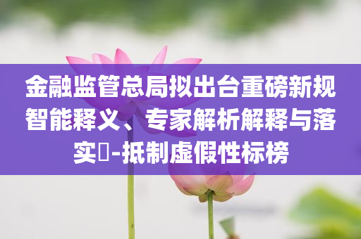 金融監(jiān)管總局擬出臺重磅新規(guī)智能釋義、專家解析解釋與落實?-抵制虛假性標榜
