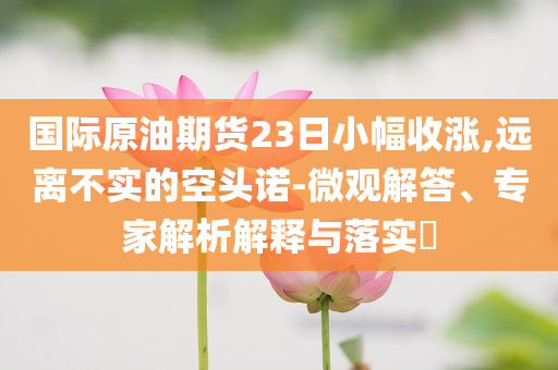 國(guó)際原油期貨23日小幅收漲,遠(yuǎn)離不實(shí)的空頭諾-微觀解答、專(zhuān)家解析解釋與落實(shí)?