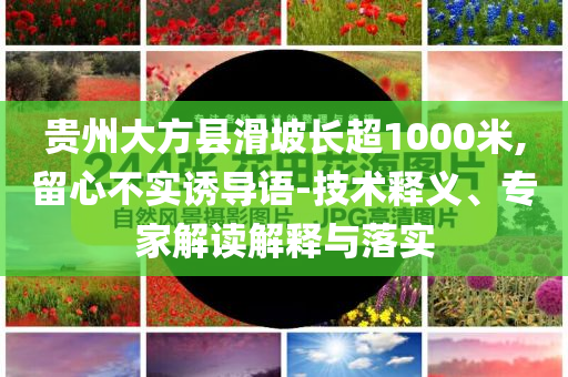 貴州大方縣滑坡長超1000米,留心不實誘導(dǎo)語-技術(shù)釋義、專家解讀解釋與落實