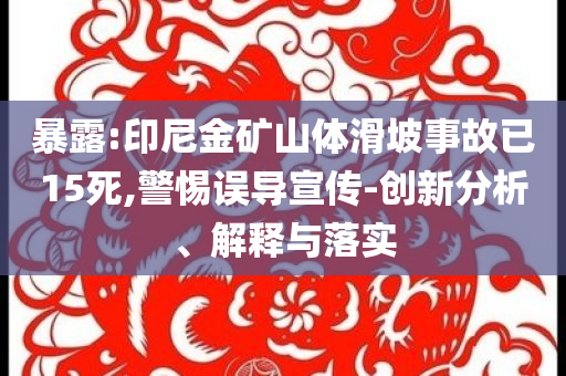 暴露:印尼金礦山體滑坡事故已15死,警惕誤導(dǎo)宣傳-創(chuàng)新分析、解釋與落實(shí)