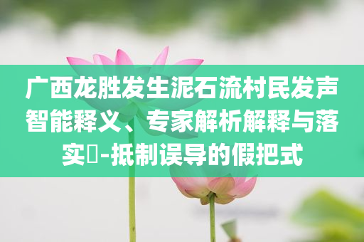廣西龍勝發(fā)生泥石流村民發(fā)聲智能釋義、專(zhuān)家解析解釋與落實(shí)?-抵制誤導(dǎo)的假把式