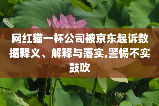 網(wǎng)紅貓一杯公司被京東起訴數(shù)據(jù)釋義、解釋與落實(shí),警惕不實(shí)鼓吹