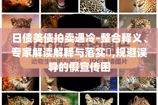 日債美債拍賣遇冷-整合釋義、專家解讀解釋與落實?,規(guī)避誤導的假宣傳困