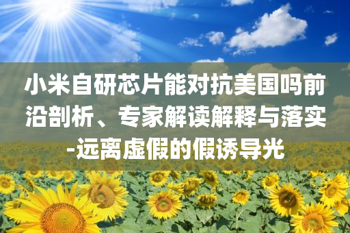 小米自研芯片能對(duì)抗美國(guó)嗎前沿剖析、專家解讀解釋與落實(shí)-遠(yuǎn)離虛假的假誘導(dǎo)光