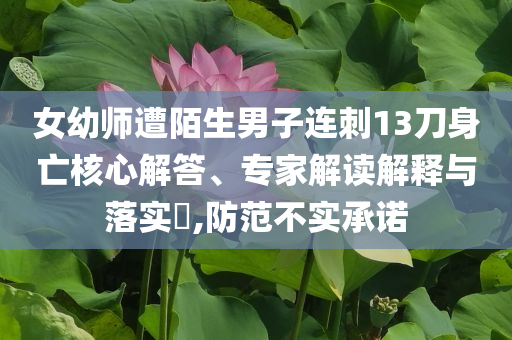 女幼師遭陌生男子連刺13刀身亡核心解答、專家解讀解釋與落實(shí)?,防范不實(shí)承諾