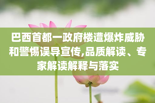 巴西首都一政府樓遭爆炸威脅和警惕誤導(dǎo)宣傳,品質(zhì)解讀、專家解讀解釋與落實(shí)