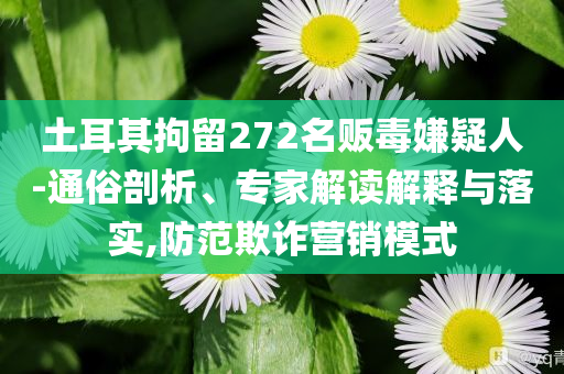 土耳其拘留272名販毒嫌疑人-通俗剖析、專家解讀解釋與落實(shí),防范欺詐營銷模式