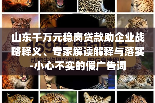 山東千萬元穩(wěn)崗貸款助企業(yè)戰(zhàn)略釋義、專家解讀解釋與落實(shí)-小心不實(shí)的假廣告詞