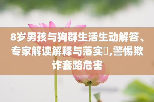 8歲男孩與狗群生活生動(dòng)解答、專家解讀解釋與落實(shí)?,警惕欺詐套路危害